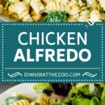 This chicken broccoli Alfredo pasta is sauteed chicken breast pieces and fresh broccoli, all tossed in a homemade creamy sauce.