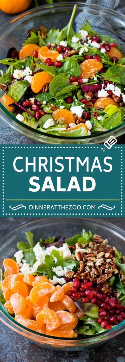 Christmas Salad Recipe Dinner at the Zoo
