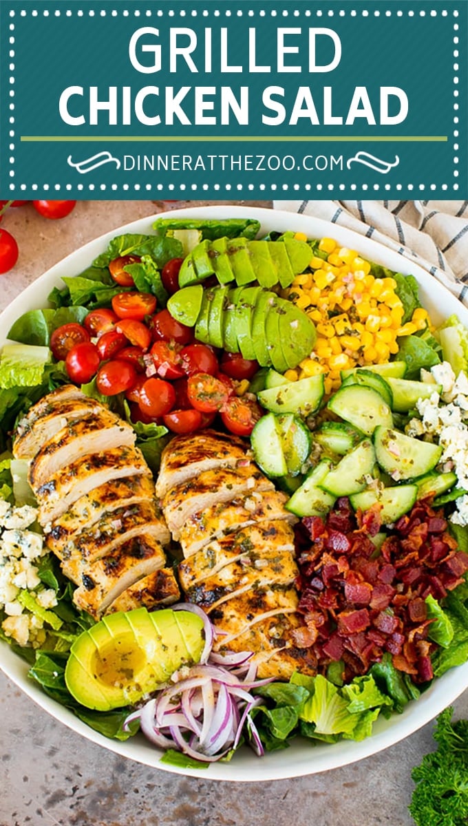 Grilled Chicken Salad - Dinner at the Zoo