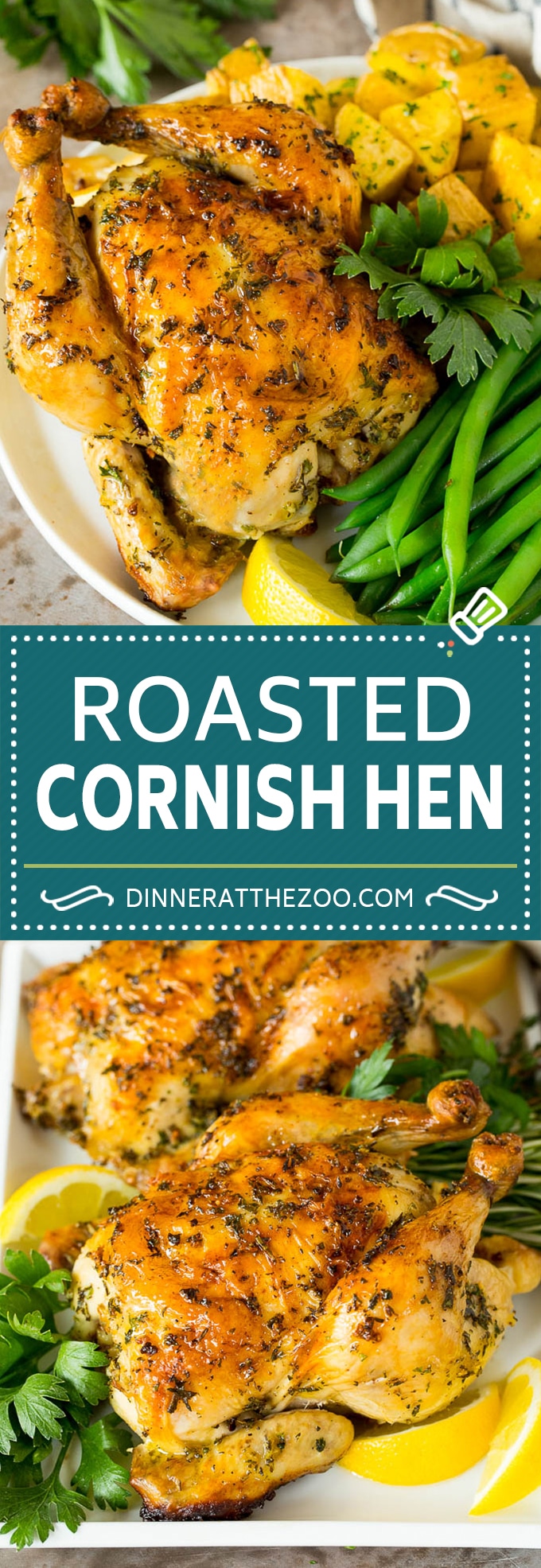 Roasted Cornish Hen Dinner at the Zoo