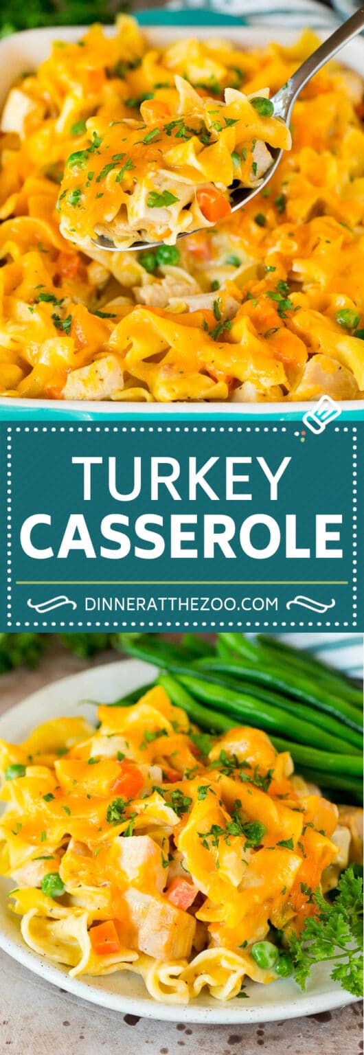 Easy Turkey Casserole Dinner at the Zoo