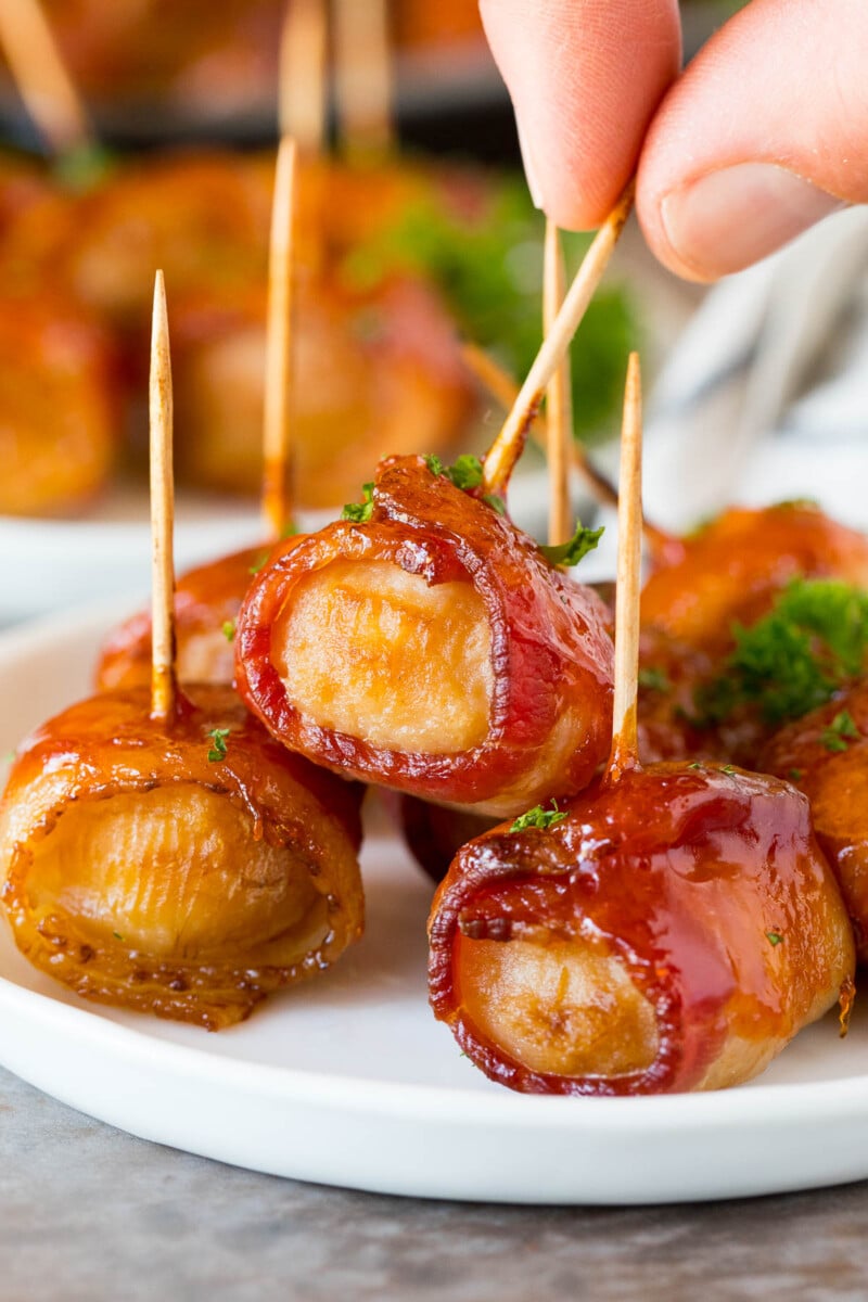Bacon Wrapped Water Chestnuts Dinner at the Zoo