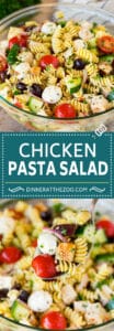 Chicken Pasta Salad - Dinner at the Zoo