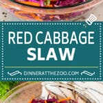 This red cabbage slaw is a blend of shredded carrots, cabbage, red onions and herbs, all tossed in a homemade dressing.