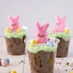 An image of bunny dirt cups.