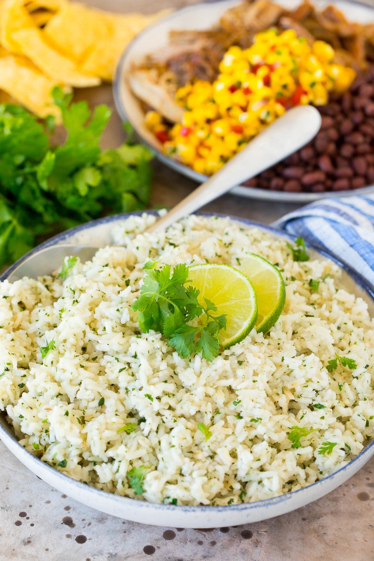 A bowl of cilantro lime rice surrounded by chips, beans, pork and salsa.