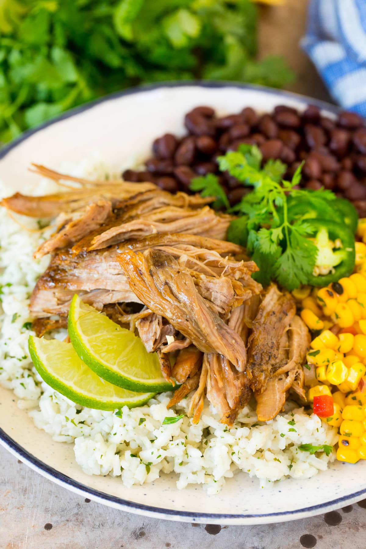 Shredded pork served with corn salsa and rice.