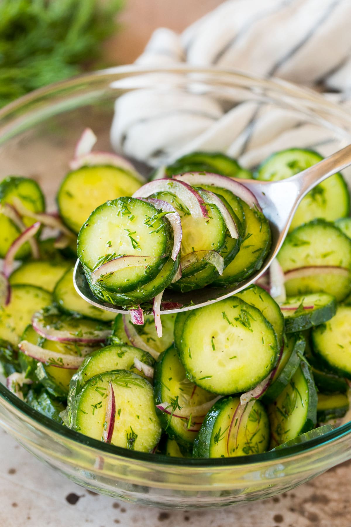 A spoon serving up a portion of cucumber dill salad.