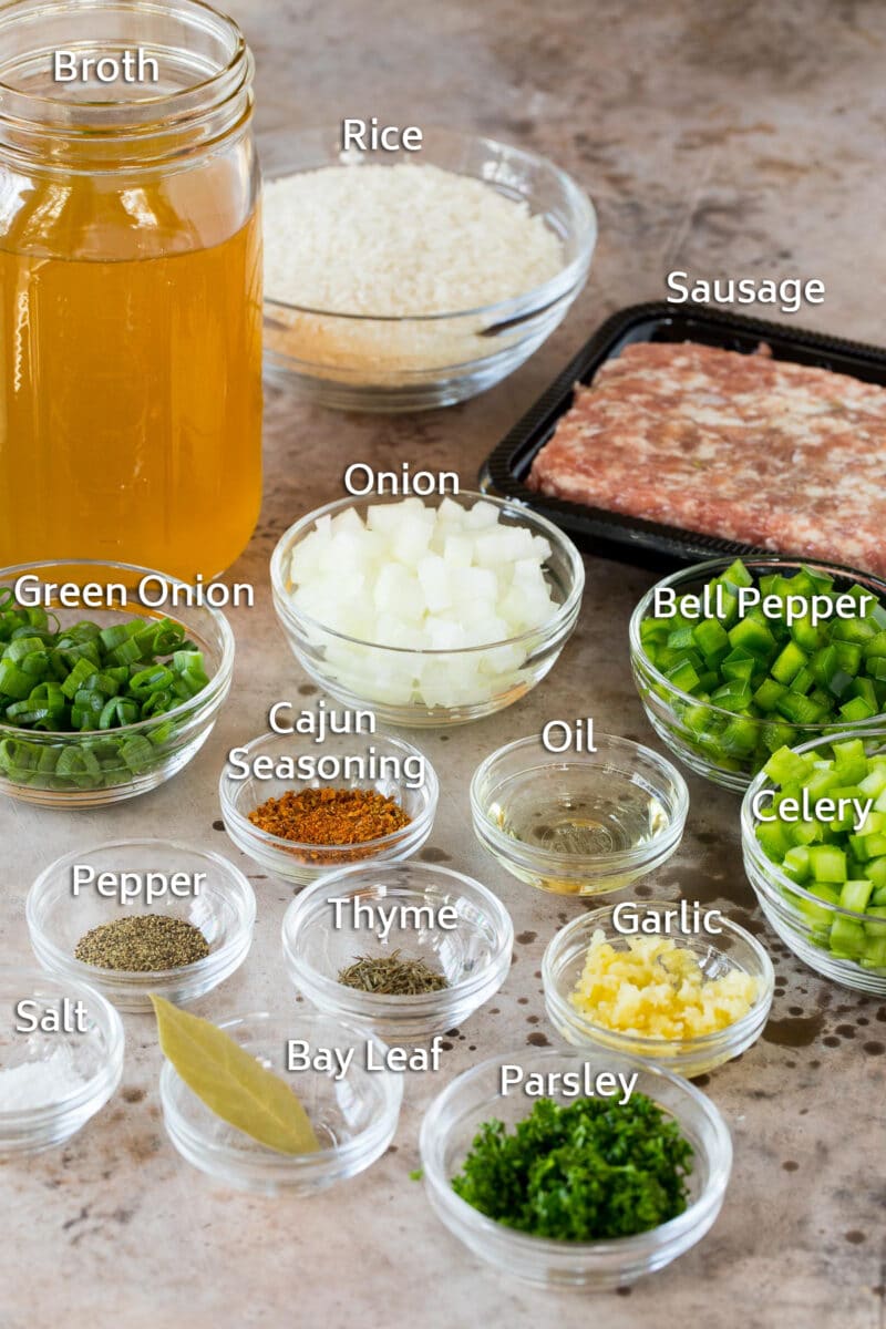 Dirty Rice Recipe Dinner at the Zoo