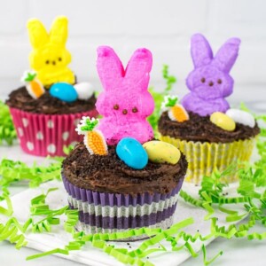 Chocolate cupcakes with peeps and jellybeans on top.