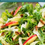 This fennel salad is a blend of arugula, fresh apples, thinly sliced fennel, celery and candied pecans, all tossed together in a homemade dressing.