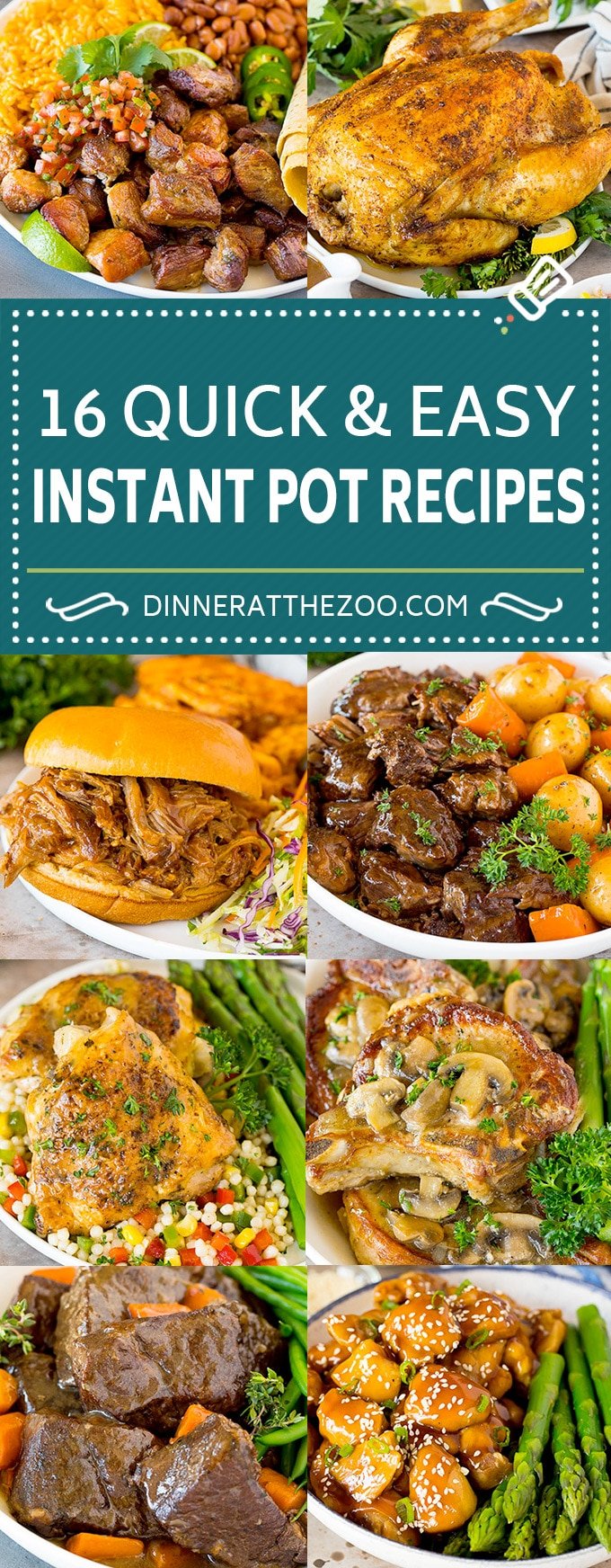 16 Instant Pot Recipes - Dinner at the Zoo
