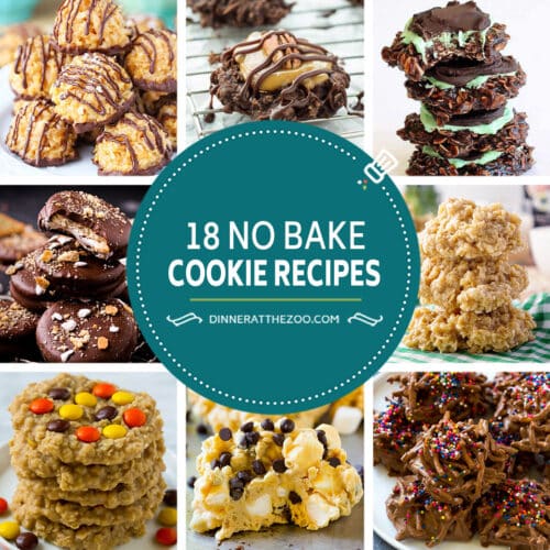 18 No Bake Cookie Recipes Dinner at the Zoo
