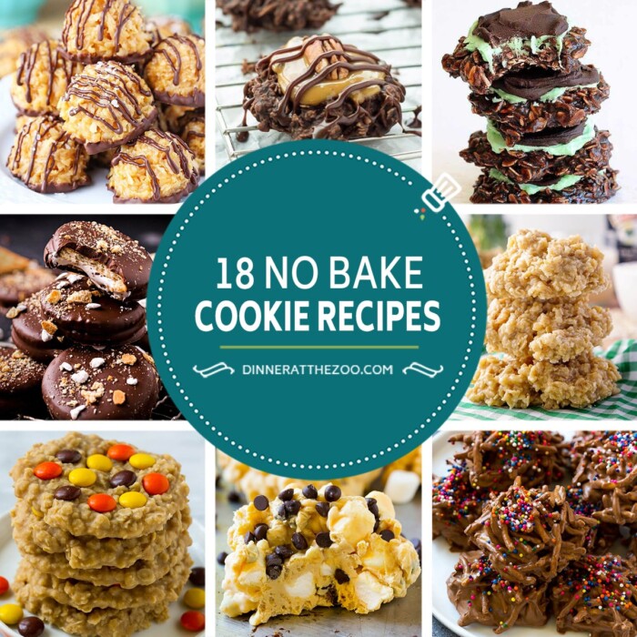 18 No Bake Cookie Recipes Dinner at the Zoo