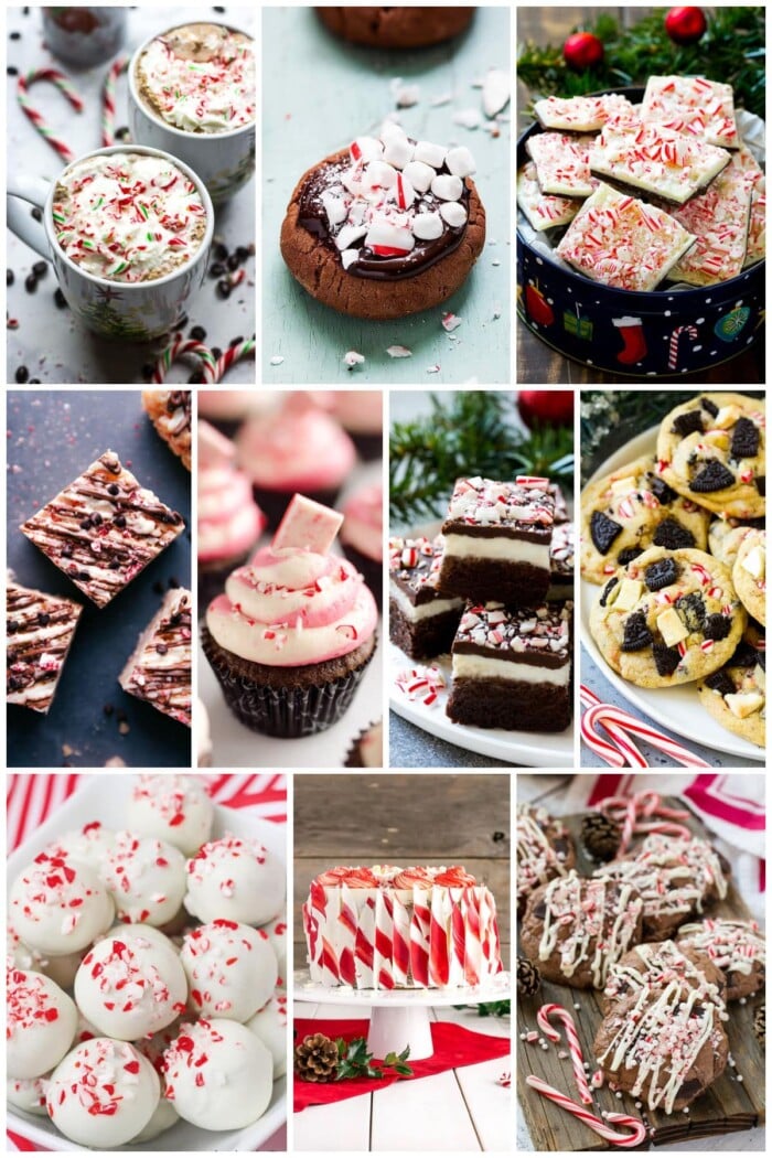 20 Candy Cane Recipes Dinner at the Zoo