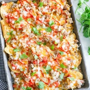 An image of a tray of turkey meat nachos.