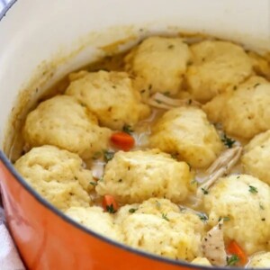 An image of turkey and dumplings in a pot.