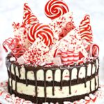 A picture of a candy cane chocolate mousse cake.