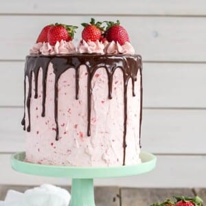 An image of a whole chocolate strawberry cake on a platter.