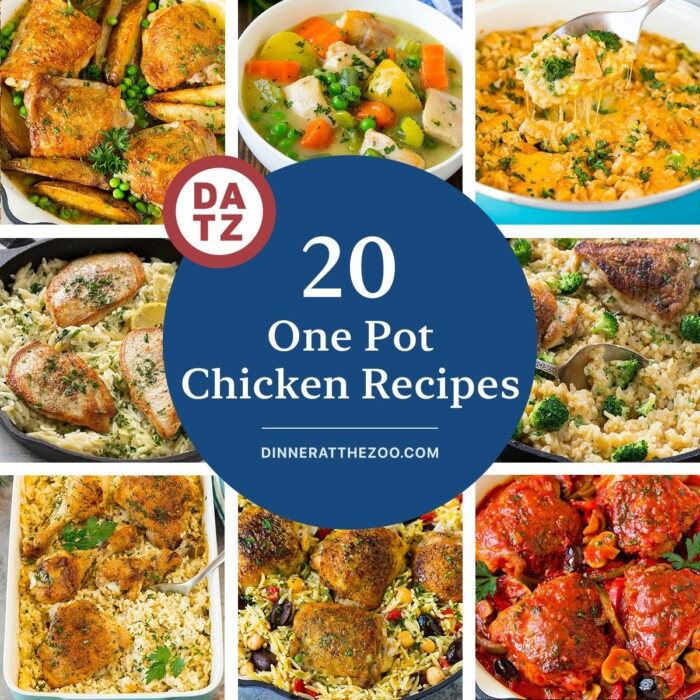 20 One Pot Chicken Recipes Dinner at the Zoo