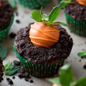 An image of a carrot patch cupcake.