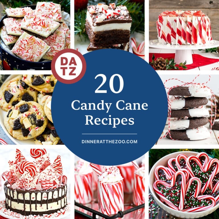 20 Candy Cane Recipes Dinner at the Zoo