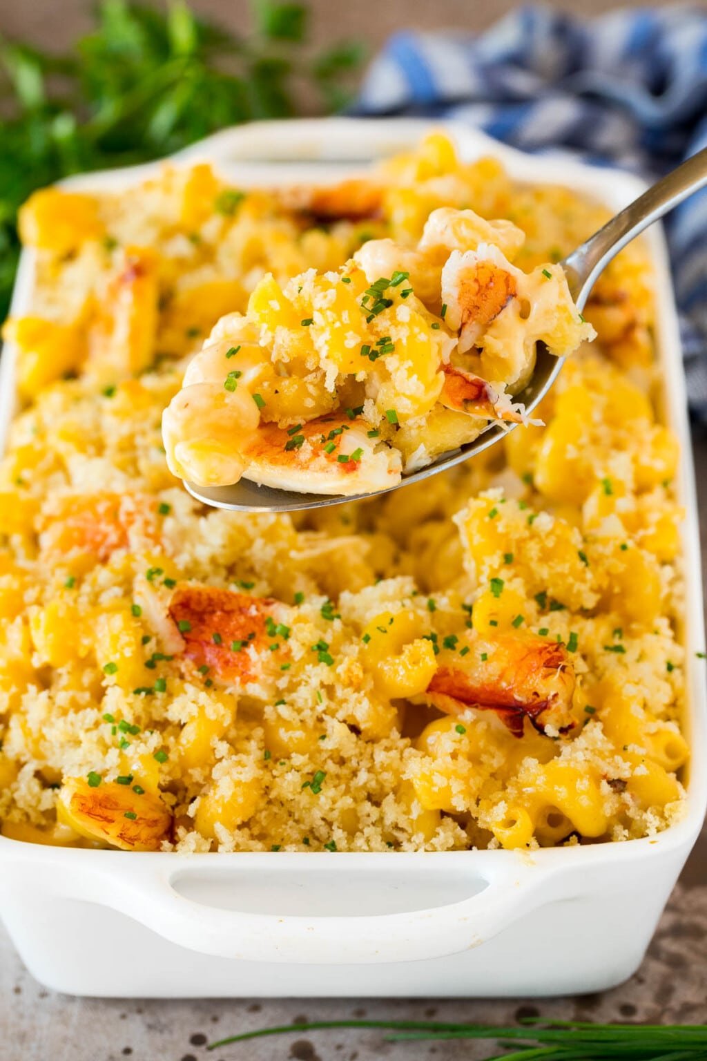 Crab Mac and Cheese - Dinner at the Zoo