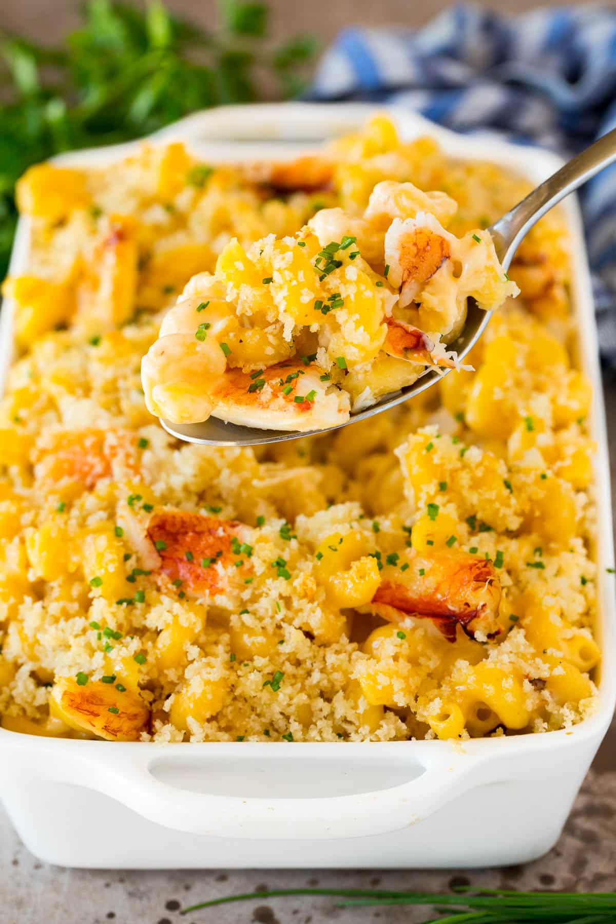 A pan of crab and cheese with a spoon holding up a portion.