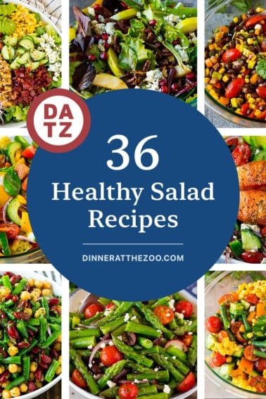 A group of pictures of healthy salad recipes like Greek salmon salad, three bean salad and grilled chicken salad.