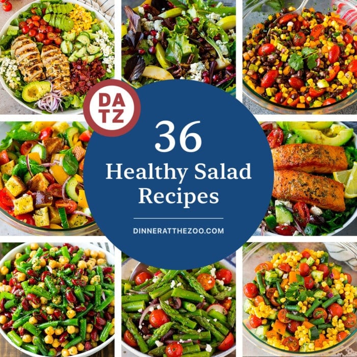36 Healthy Salad Recipes - Dinner at the Zoo