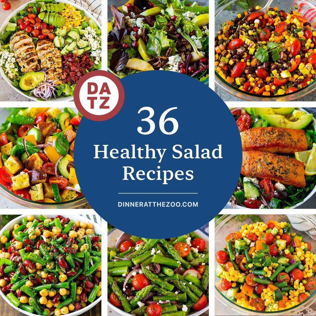 A group of pictures of healthy salad recipes like Greek salmon salad, three bean salad and grilled chicken salad.