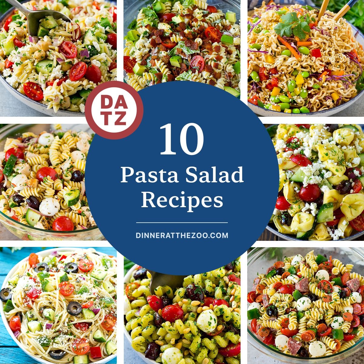 A collection of pasta salad recipes including spaghetti salad, Italian pasta salad and Asian noodle salad.