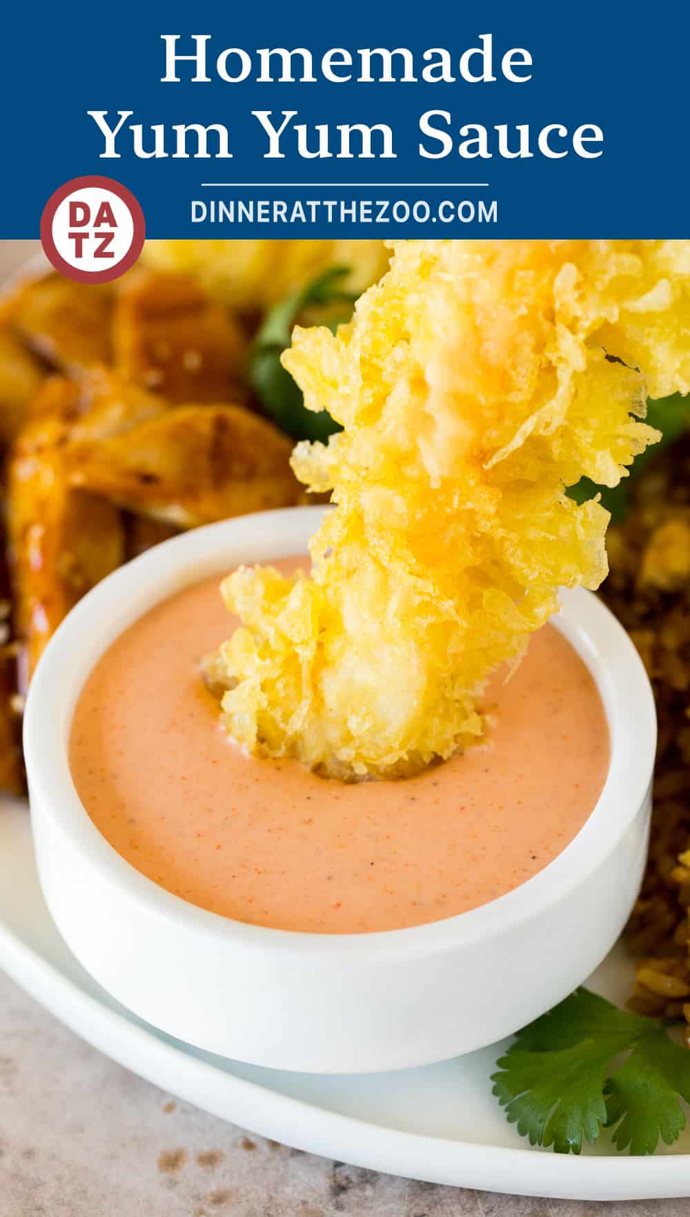 Yum Yum Sauce Recipe Dinner at the Zoo