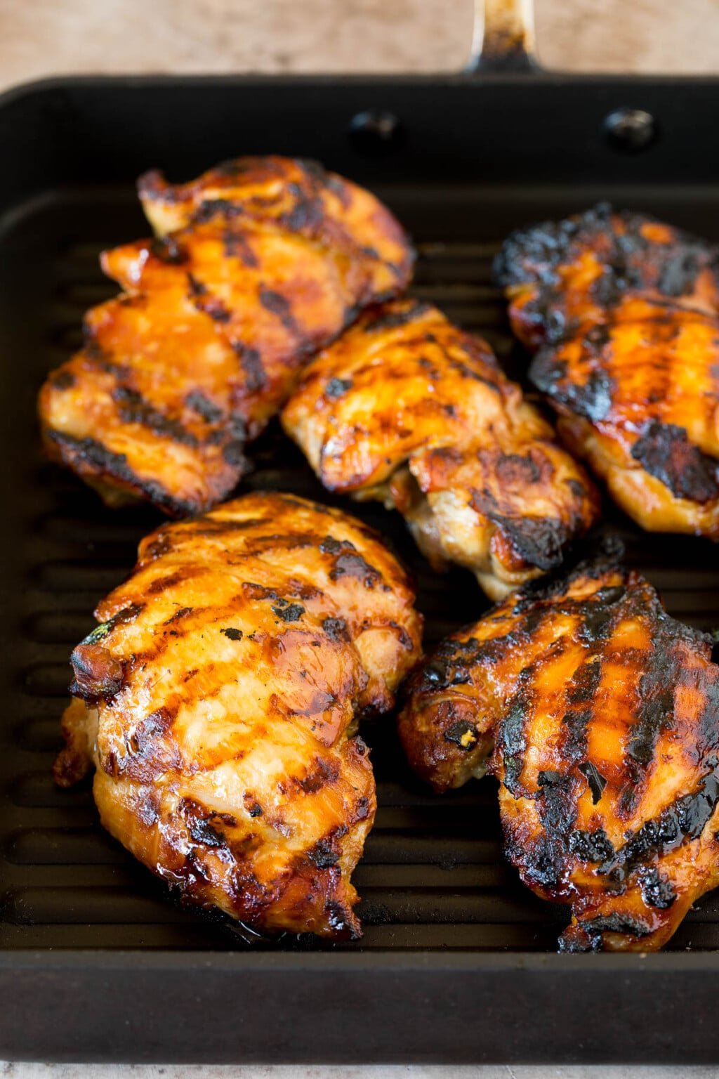 Teriyaki Marinade Dinner at the Zoo