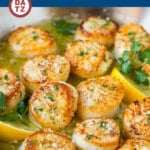 These seared scallops are large sea scallops that are cooked until golden brown and caramelized, then finished off with a garlic butter sauce.