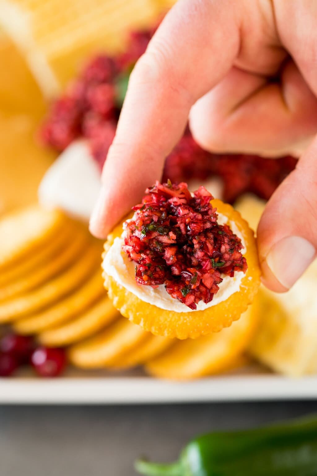 Cranberry Jalapeno Dip Dinner at the Zoo