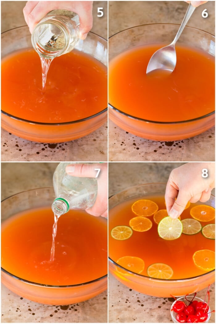 Vodka Punch - Dinner at the Zoo