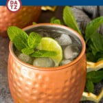 This Mexican mule is a cocktail with tequila, ginger beer and lime, all combined to create a refreshing drink.