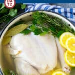 A chicken in a pot of chicken brine with herbs and lemon slices.