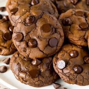 A plate filled with chocolate fudge cookies topped with chocolate chips.
