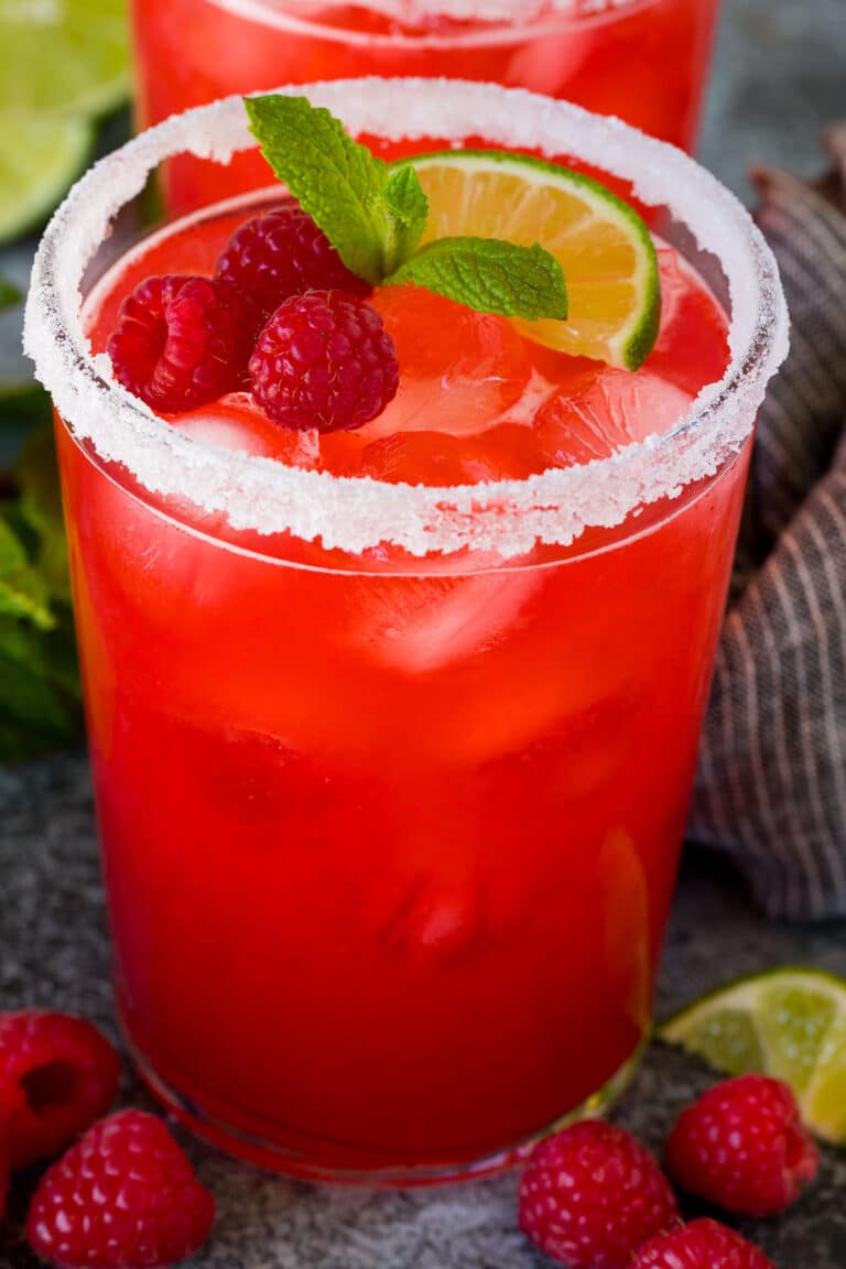 Raspberry Margarita - Dinner at the Zoo